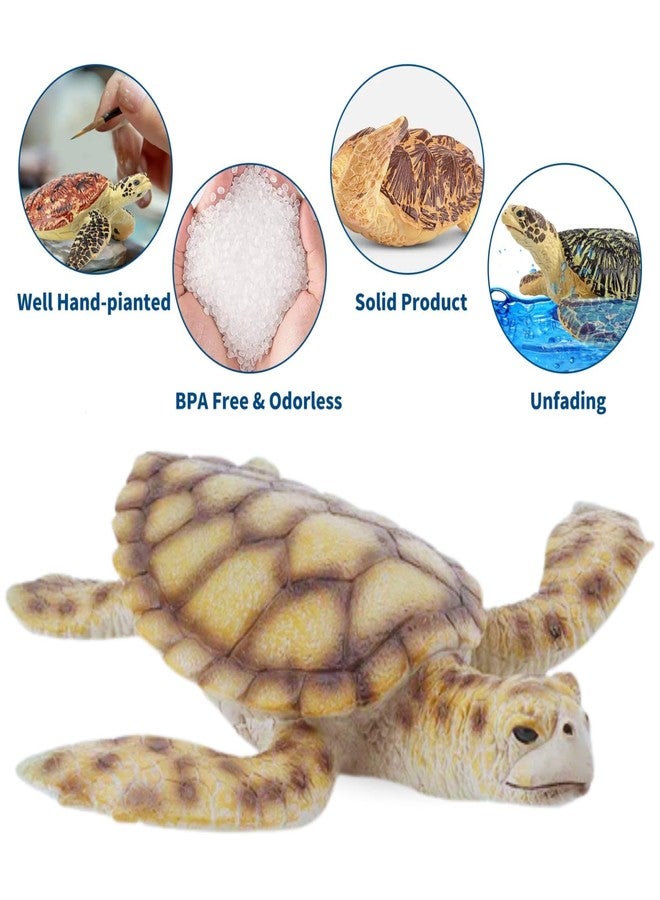 Mallexo Big Size Realistic Underwater Fishes Animal Figures Set for Kids 3+| 6PCs Sea Water Creatures Animals for Boys and Girls Action Figurine Toys Playset Educational & Learning Toy Birthday Gifts - Image 4